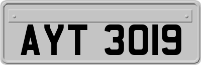 AYT3019
