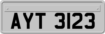 AYT3123