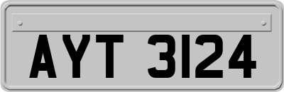 AYT3124