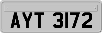 AYT3172