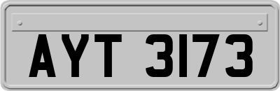 AYT3173
