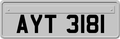 AYT3181