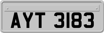 AYT3183