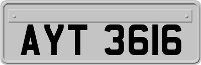 AYT3616