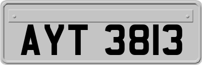 AYT3813