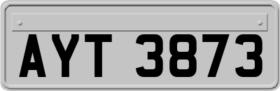 AYT3873