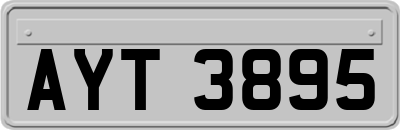 AYT3895