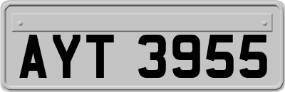 AYT3955