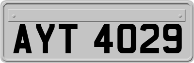 AYT4029