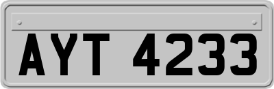 AYT4233