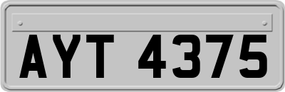 AYT4375