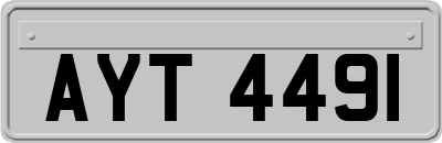 AYT4491