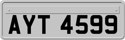 AYT4599