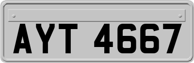 AYT4667