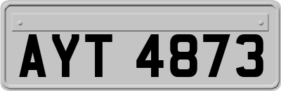 AYT4873