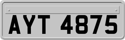 AYT4875