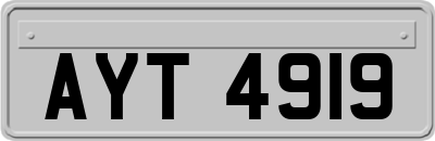 AYT4919