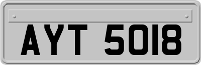 AYT5018