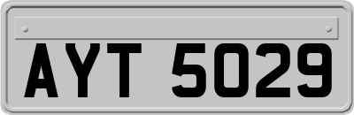 AYT5029