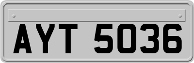 AYT5036