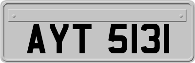 AYT5131