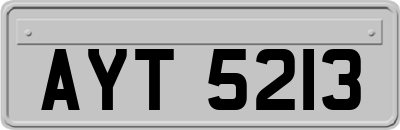 AYT5213