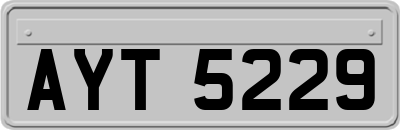 AYT5229