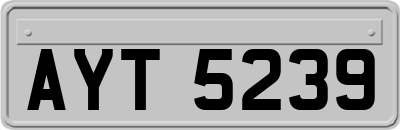 AYT5239