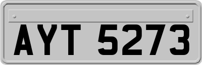 AYT5273