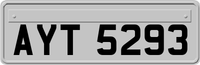 AYT5293