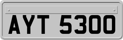 AYT5300