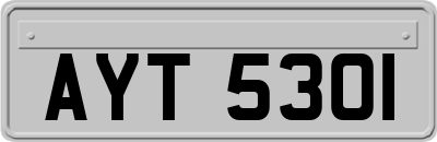 AYT5301