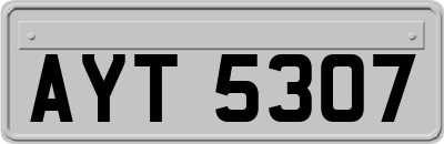 AYT5307