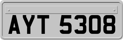 AYT5308