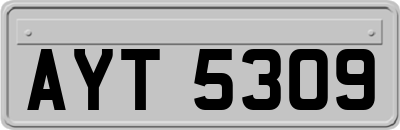 AYT5309