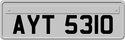 AYT5310