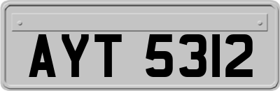 AYT5312