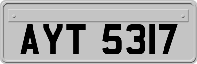 AYT5317