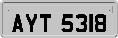 AYT5318