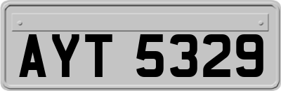 AYT5329