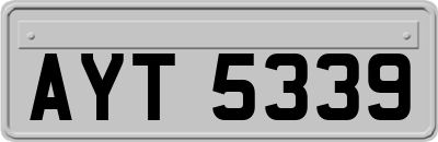 AYT5339