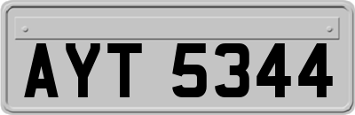 AYT5344