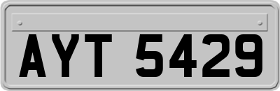 AYT5429