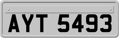AYT5493