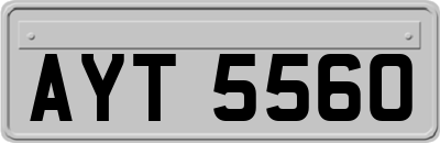 AYT5560