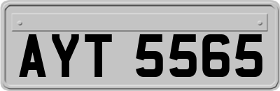 AYT5565