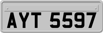 AYT5597
