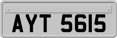 AYT5615
