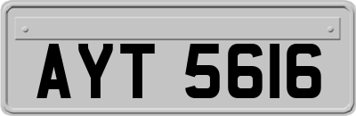 AYT5616
