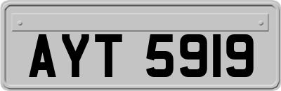 AYT5919